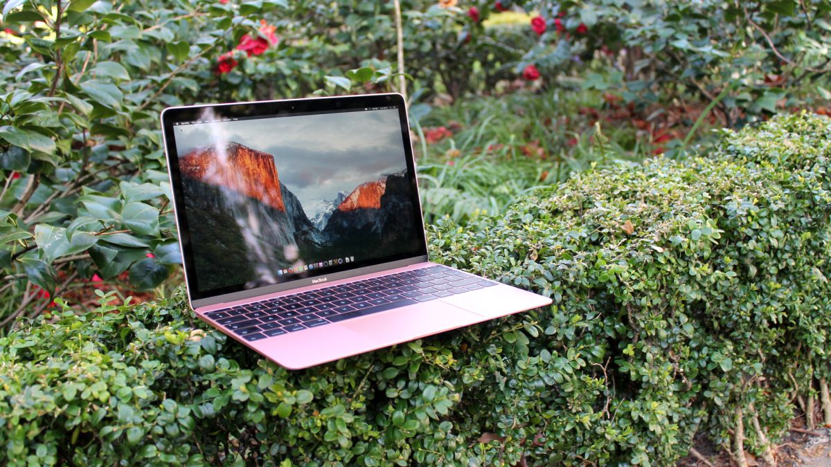 MacBook 12" (2016) på en grønn hekk.