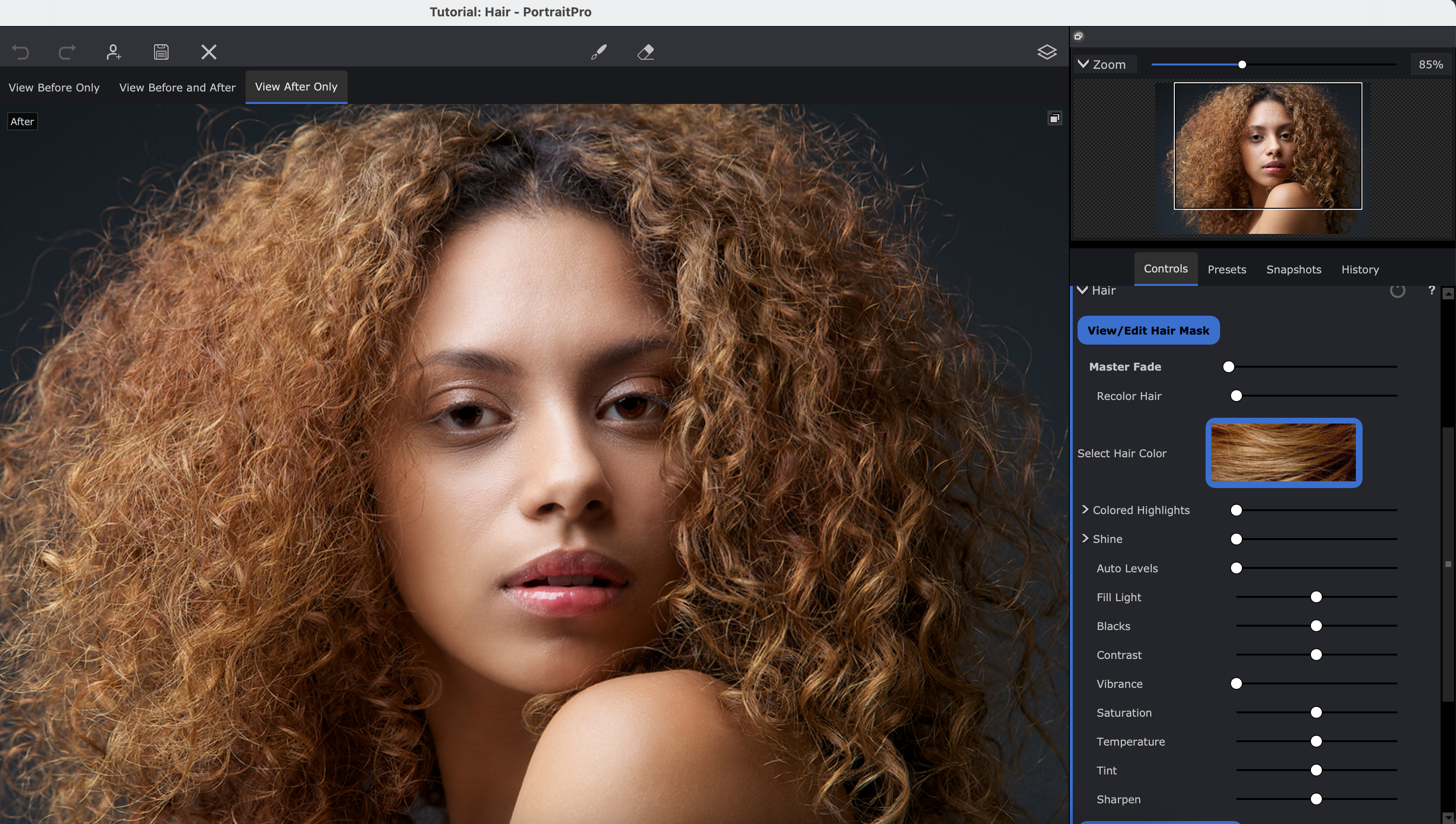 PortraitPro
