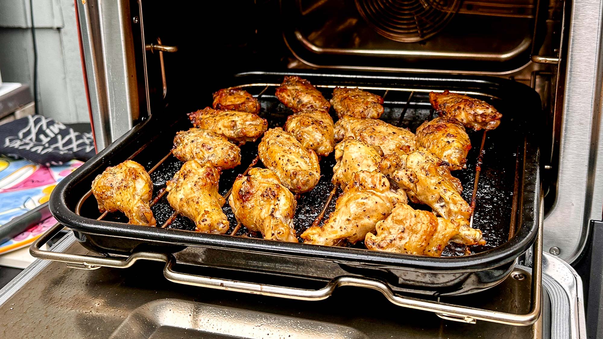Ninja Woodfire Outdoor Oven cooking food