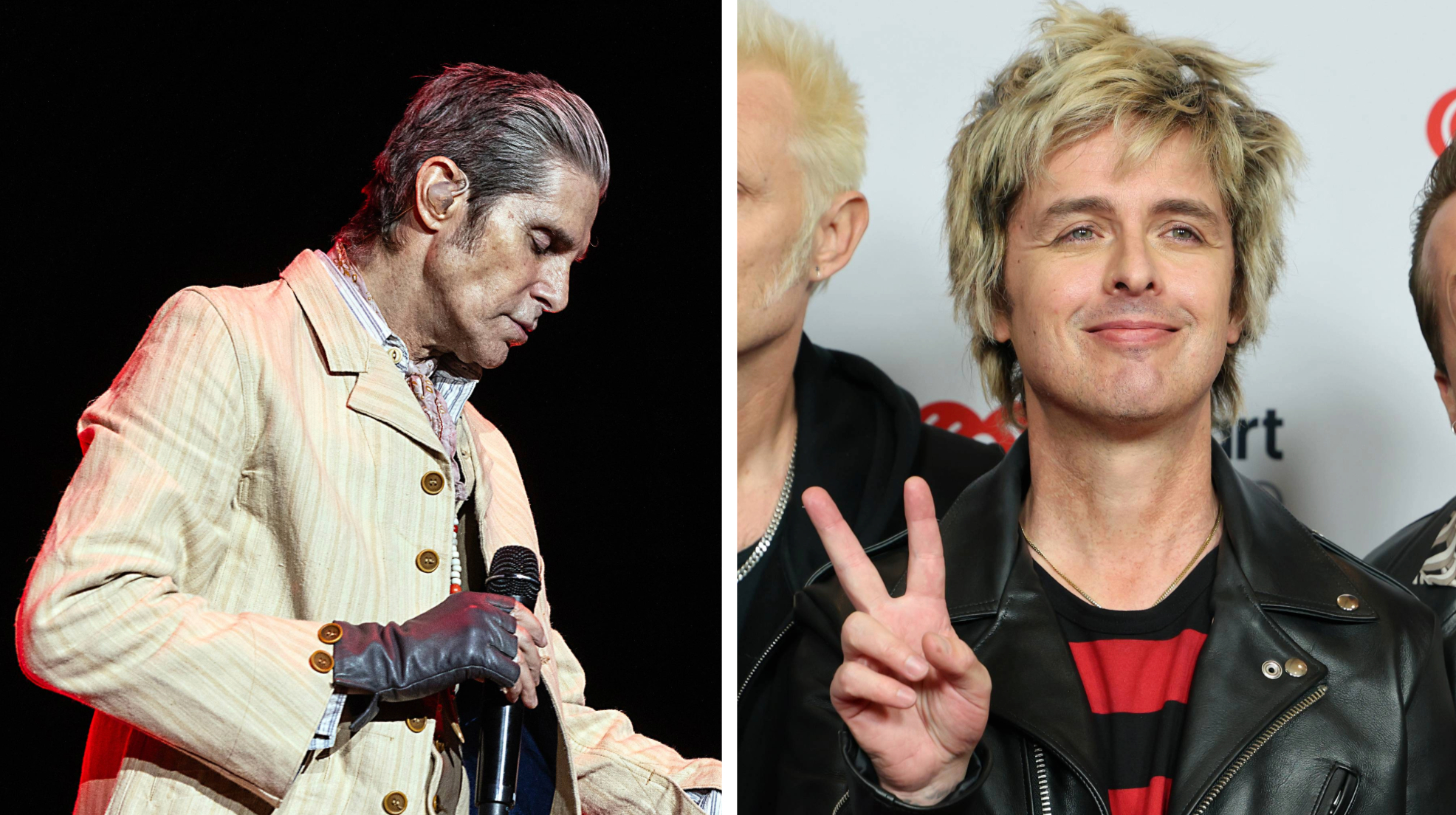 Perry Farrell and Billie Joe Armstrong composite image