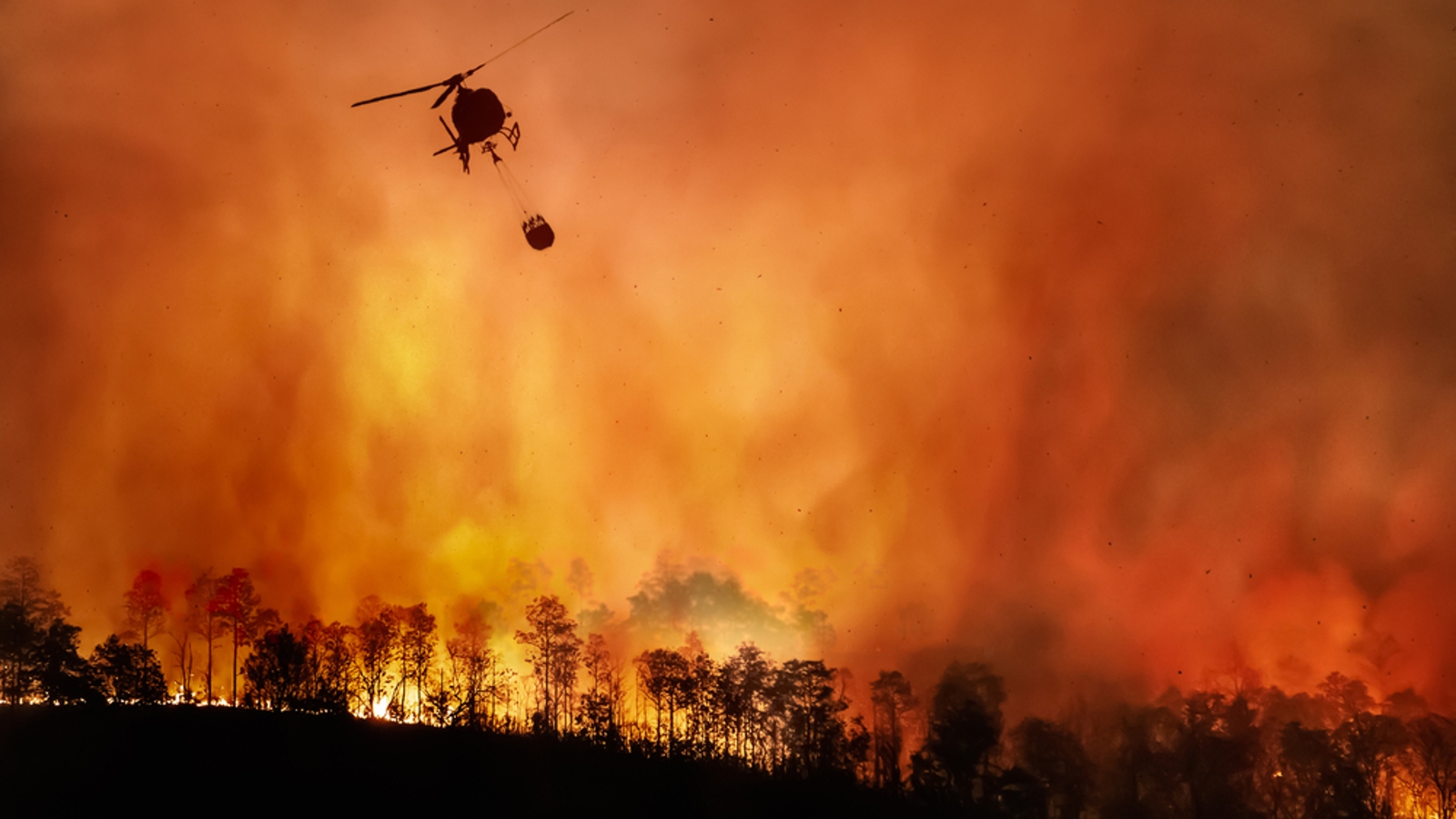 A wildfire with orange sky