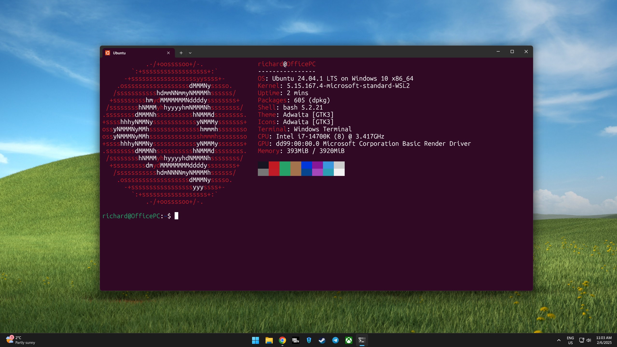 Ubunutu 24.04 running on WSL 2 on Windows 11 inside Windows Terminal.