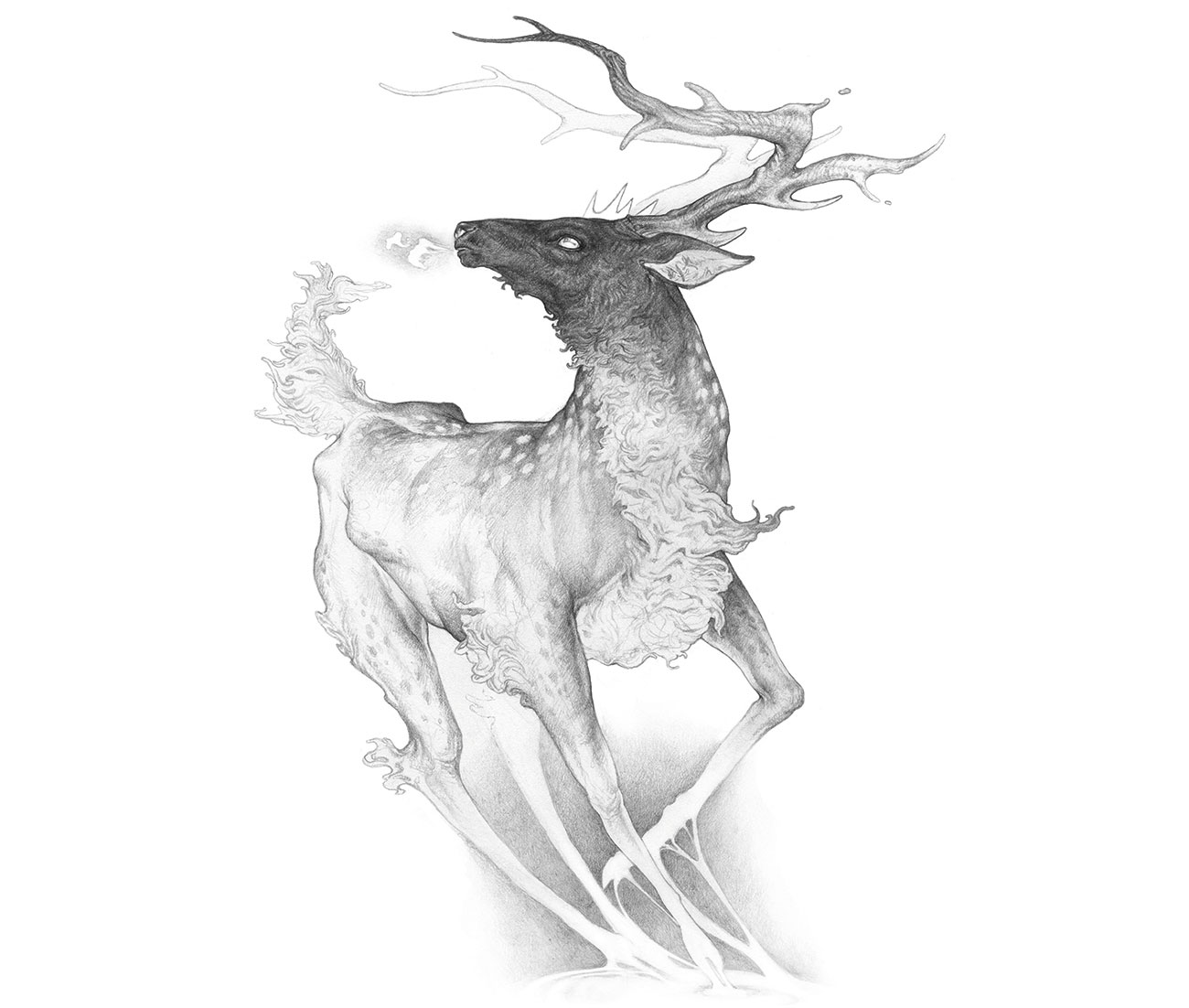 A sketch of a stylised stag to demonstrate the use of gradients.