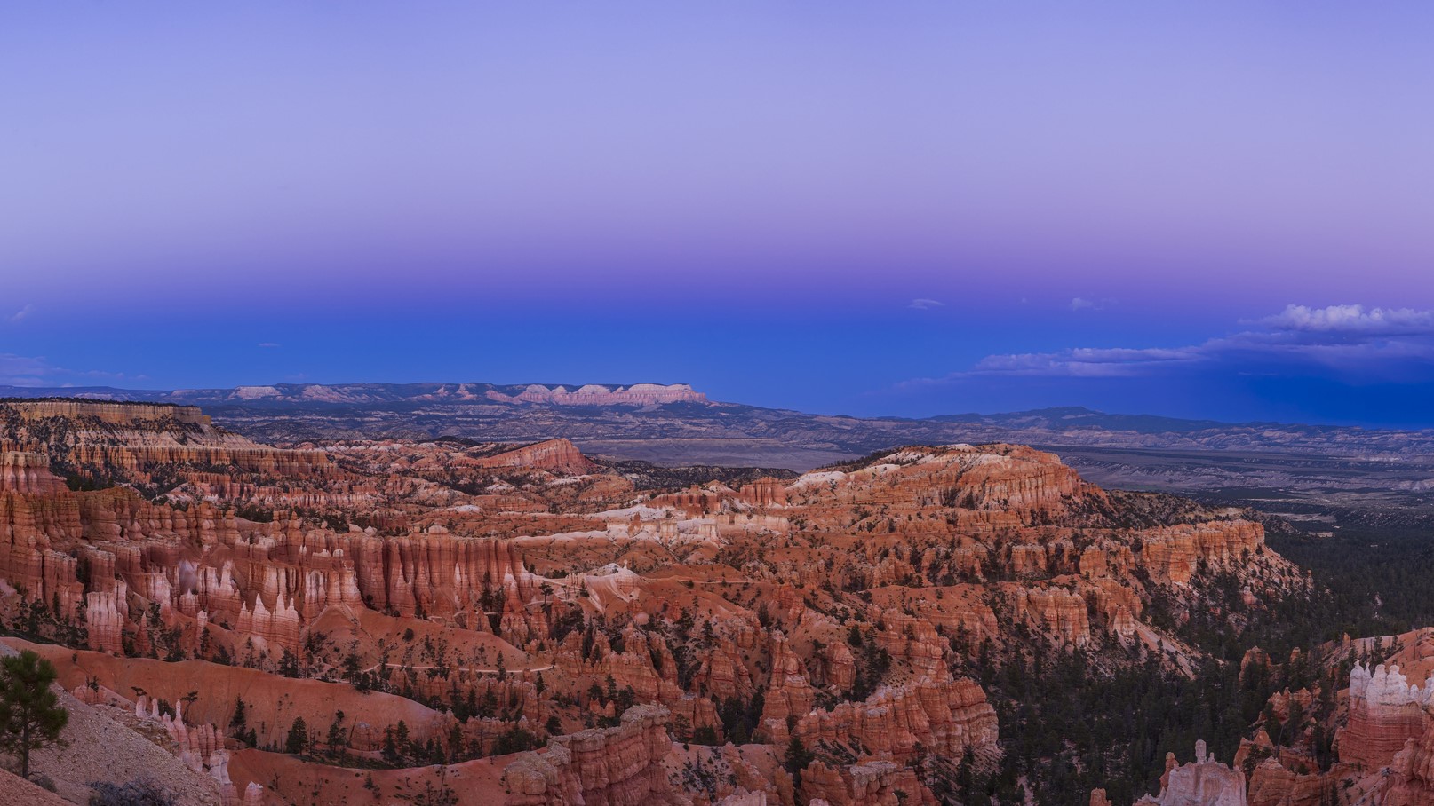 A stunning panoramic view of Bryce Canyon at twilight, showcasing vibrant orange and red rock formations known as hoodoos against a deepening purple and blue sky.
