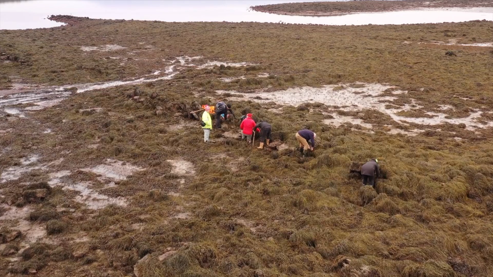 The remains of the walls or ramparts are now covered in seaweed and can only be clearly seen when the seaweed is removed.