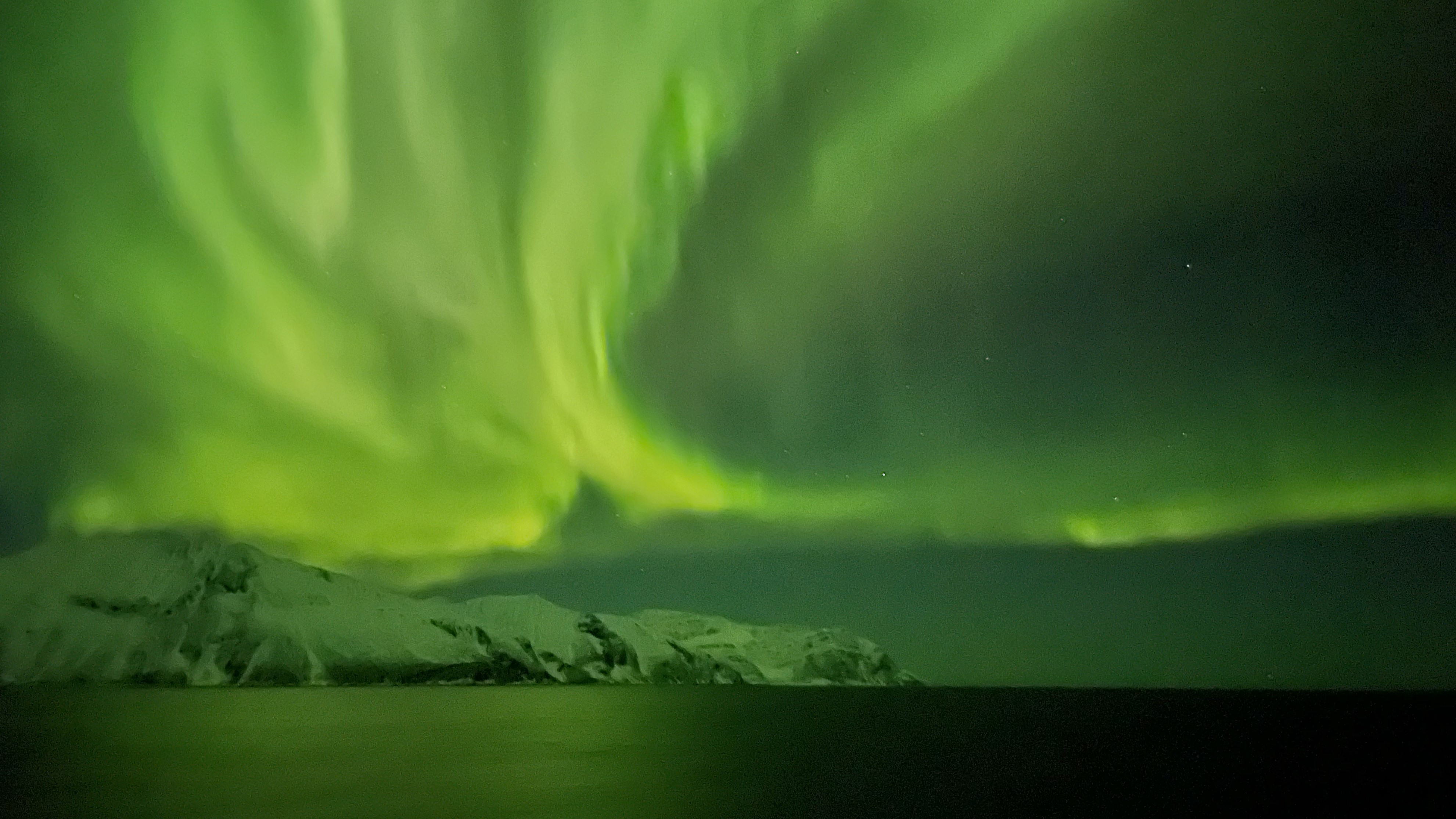 hurtigruten
