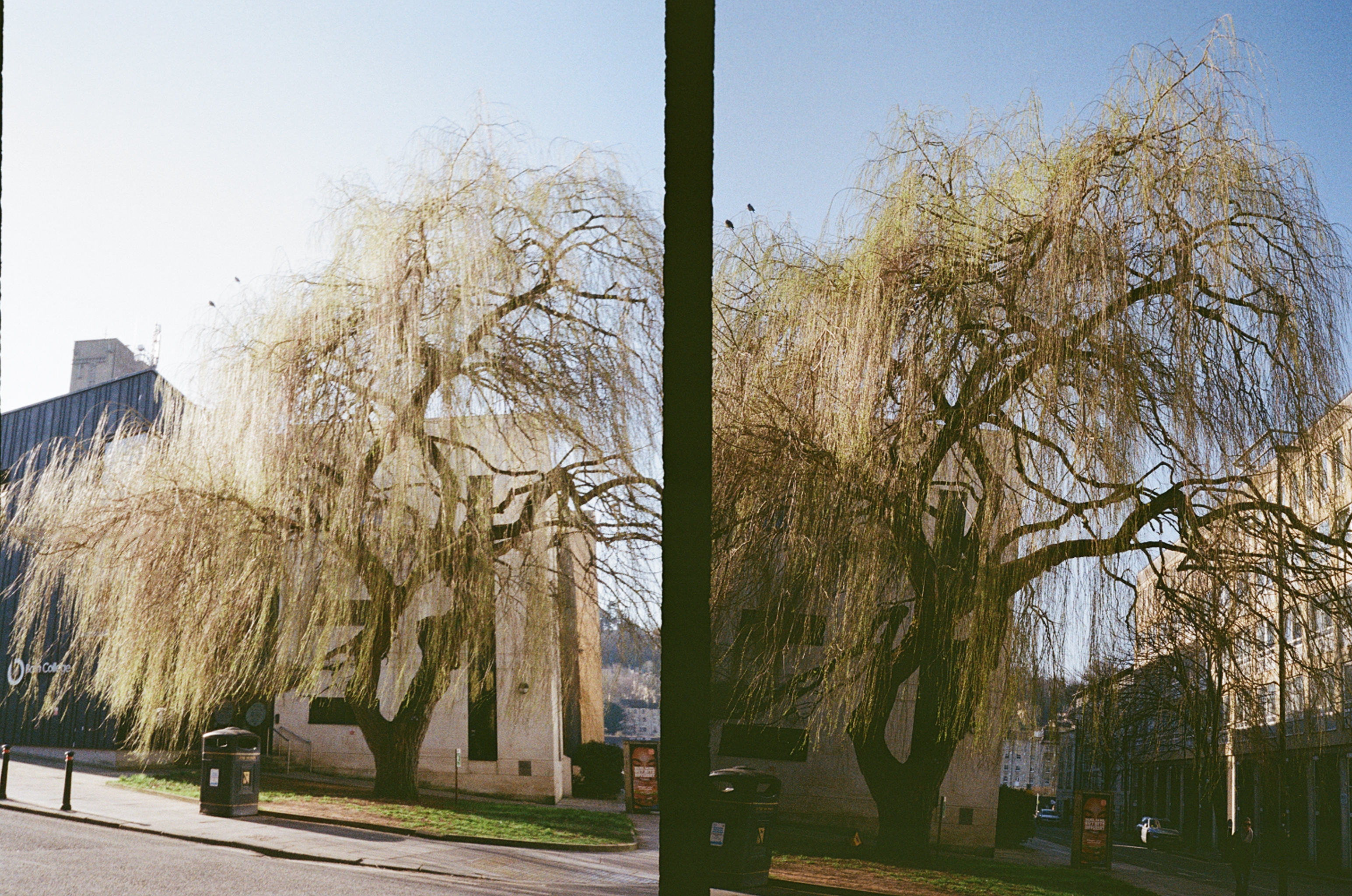 Two photos taken on a Pentax 17 half-frame film camera
