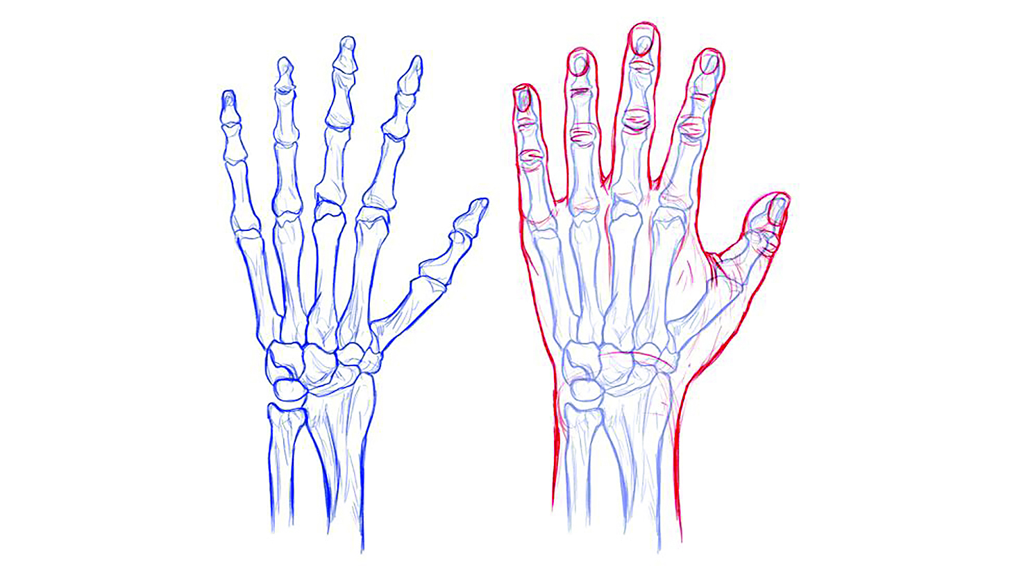 Draw hands; sketches of hands 