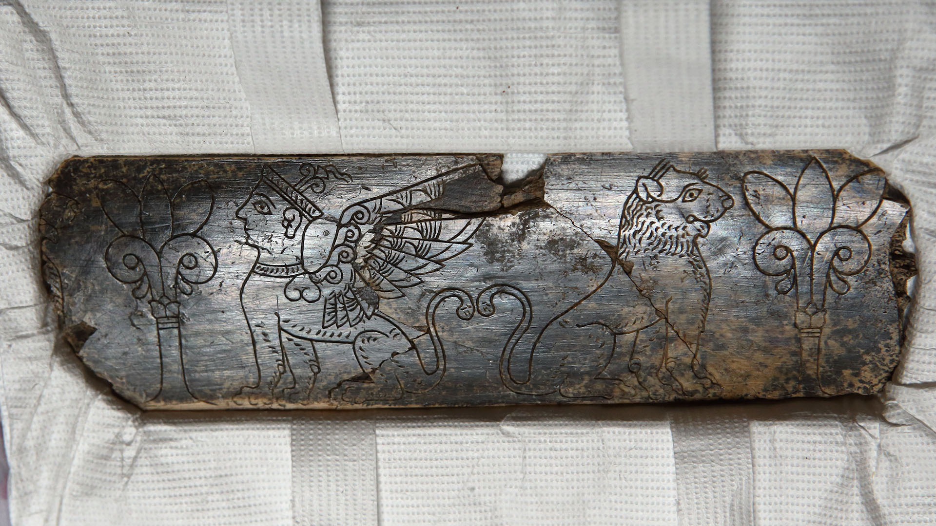 Carved elephant ivory on a white display from the Iron Age.
